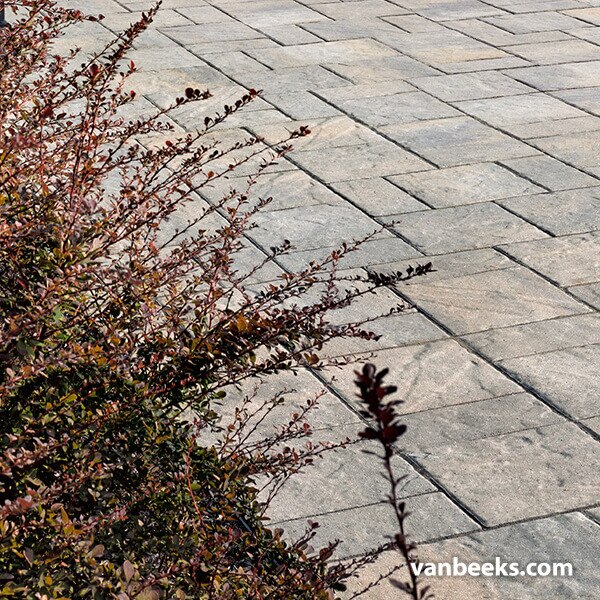 Permacon Mondrian Plus 60 Concrete